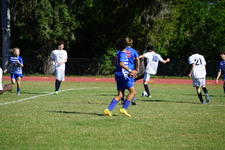 Enlarge photo 519