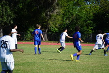 Enlarge photo 522