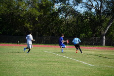 Enlarge photo 523