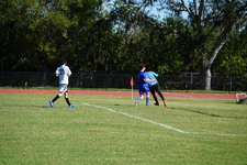 Enlarge photo 525
