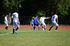 Enlarge photo 526