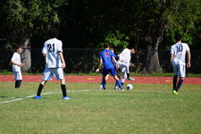 Enlarge photo 527