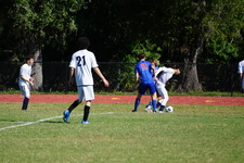 Enlarge photo 529