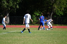 Enlarge photo 530