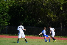 Enlarge photo 531