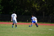 Enlarge photo 532