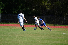 Enlarge photo 534