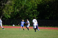 Enlarge photo 535