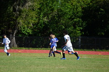 Enlarge photo 536
