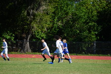 Enlarge photo 537