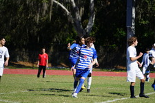 Enlarge photo 541