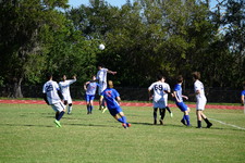 Enlarge photo 545
