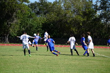 Enlarge photo 546