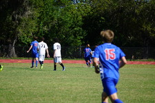 Enlarge photo 549