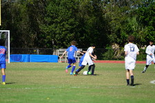 Enlarge photo 561