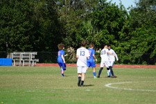 Enlarge photo 567
