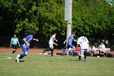Enlarge photo 569