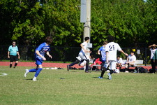 Enlarge photo 570