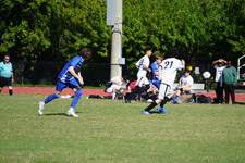 Enlarge photo 571