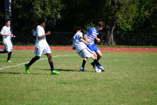 Enlarge photo 587