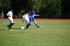 Enlarge photo 588