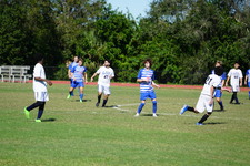 Enlarge photo 611