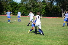 Enlarge photo 613