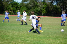 Enlarge photo 615