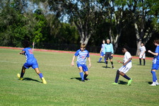 Enlarge photo 619