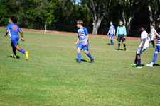 Enlarge photo 620