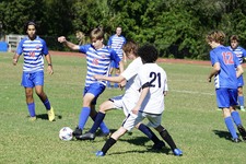 Enlarge photo 629