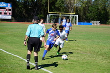 Enlarge photo 639