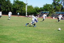 Enlarge photo 649