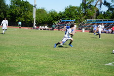 Enlarge photo 651