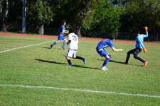 Enlarge photo 656