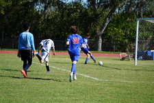 Enlarge photo 657
