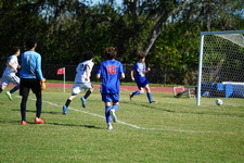Enlarge photo 658