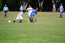 Enlarge photo 663