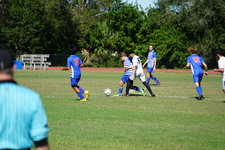 Enlarge photo 667