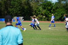 Enlarge photo 669