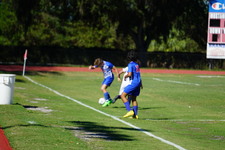 Enlarge photo 671