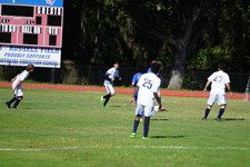 Enlarge photo 687
