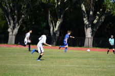 Enlarge photo 690