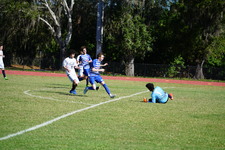 Enlarge photo 696