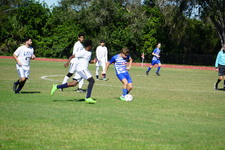 Enlarge photo 719