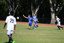Enlarge photo 723