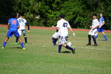 Enlarge photo 728