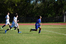 Enlarge photo 735