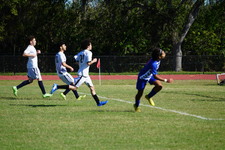 Enlarge photo 738