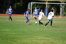 Enlarge photo 749